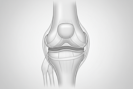 Can Collagen Regenerate Cartilage The Truth About Collagen’s Role in Joint Health